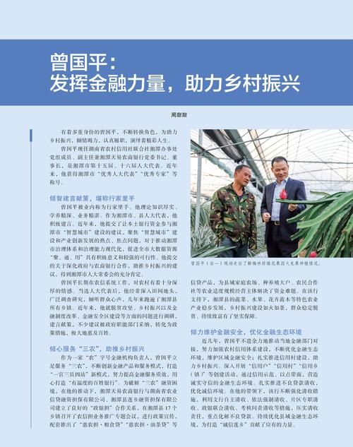 惠州农户贷款政策全解析,助力乡村振兴的金融力量 惠州农户贷款政策全解析,助力乡村振兴的金融力量