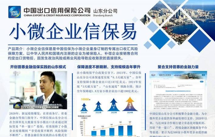 厦门首创小微企业信保资金贷款,助力小微企业腾飞的新引擎 厦门首创小微企业信保资金贷款,助力小微企业腾飞的新引擎