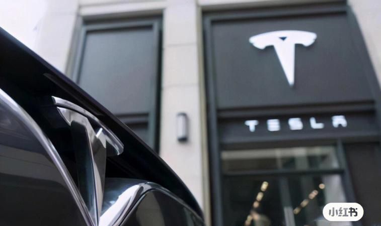 惠州特斯拉贷款电话知多少?深圳火焰鸟金融为您解答