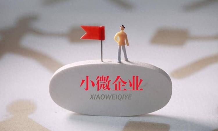 小微企业资金贷款扶持，助力企业腾飞的关键力量