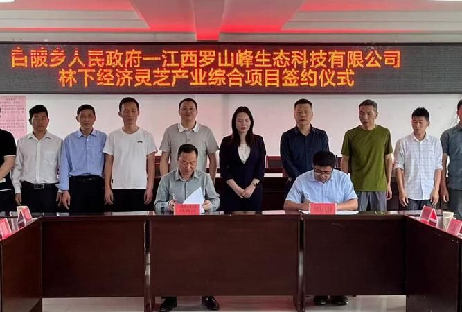 惠州林权抵押贷款，助力林业发展的金融创新