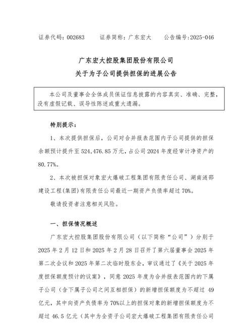 广东融资担保公司黑户房产抵押，风险与机遇并存