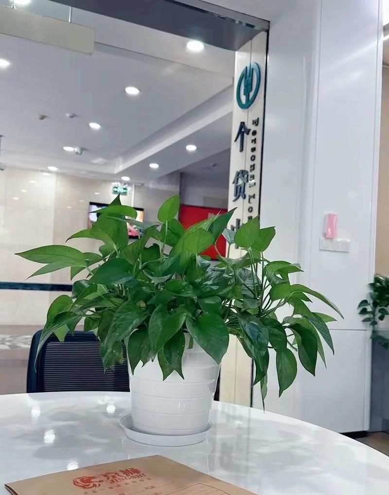 惠州专业银行贷款公司地址大揭秘
