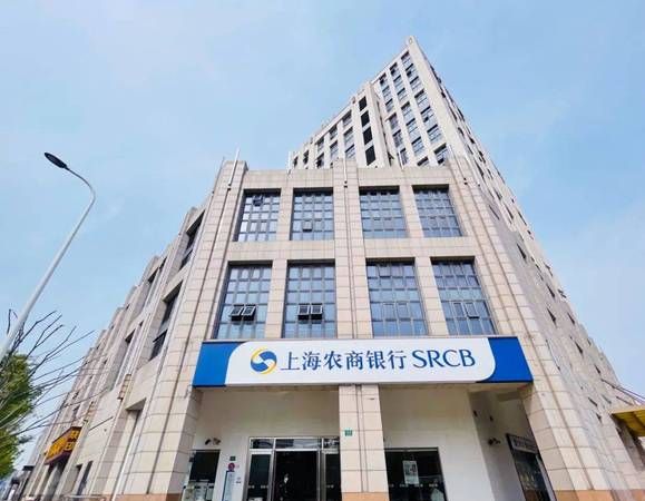 上海银行企业信用贷款，助力企业发展的有力引擎