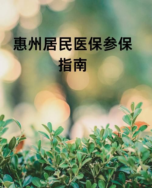 惠州贷款要社保，现状、影响与应对策略