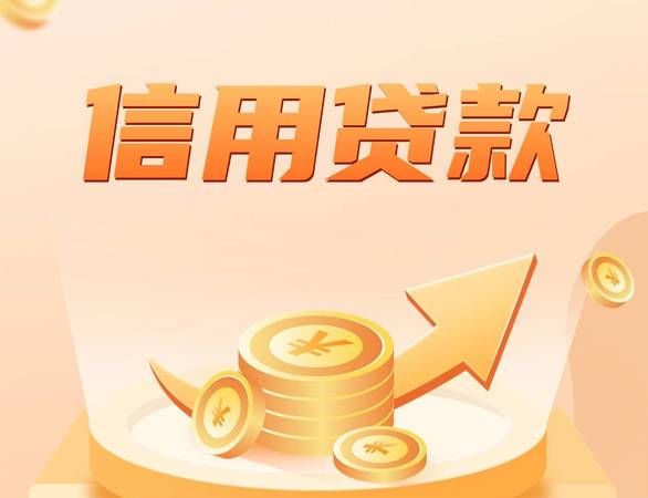 企业大额无抵押贷款，助力企业发展的金融利器