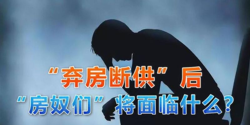惠州停贷风波下的房贷困境与应对策略