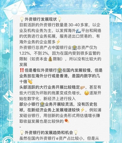 外商独资企业国内银行贷款,机遇与挑战