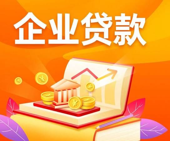 法人信用贷款，企业的资金助力与风险权衡