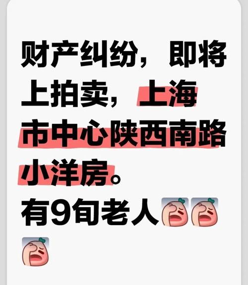 上海老人房产被开发商抵押拍卖事件引发的思考 上海老人房产被开发商抵押拍卖事件引发的思考