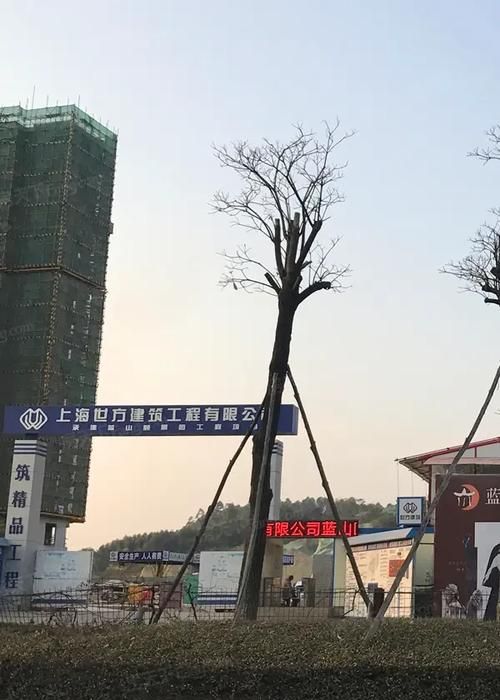 惠州金科蓝山府贷款不了的背后原因及影响