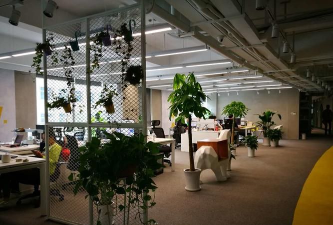 二手房中介眼中的中小企业风险补偿贷款现状