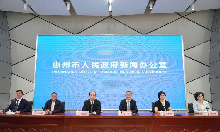 惠州惠阳区贷款营业执照办理全攻略