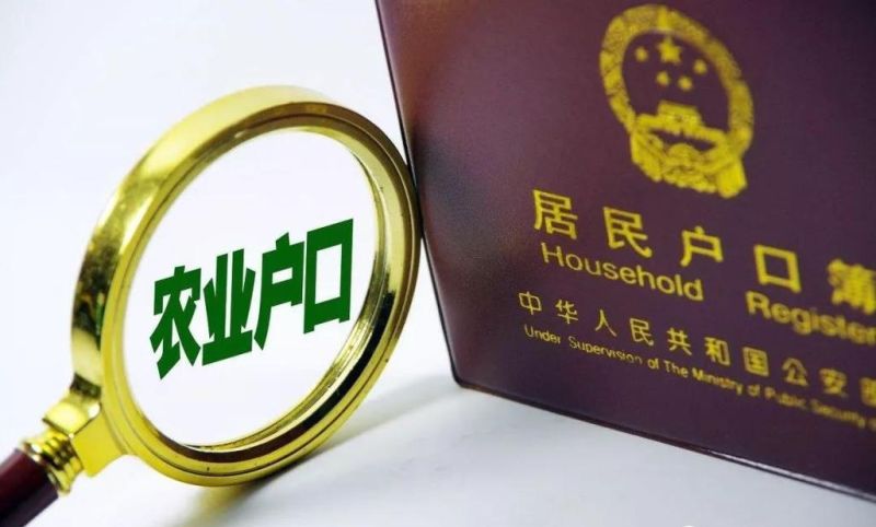 惠州农村户口贷款30万免息政策，助力农村发展的新契机