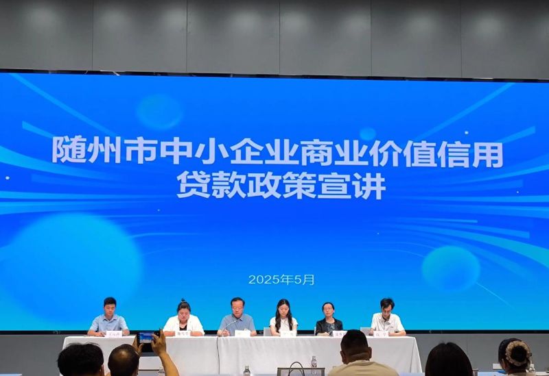 企业信用贷款公司竟因法人赌博而陷入困境，背后真相令人深思