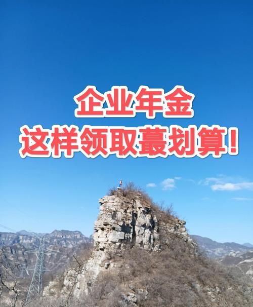 个人企业年金贷款可以抵押吗