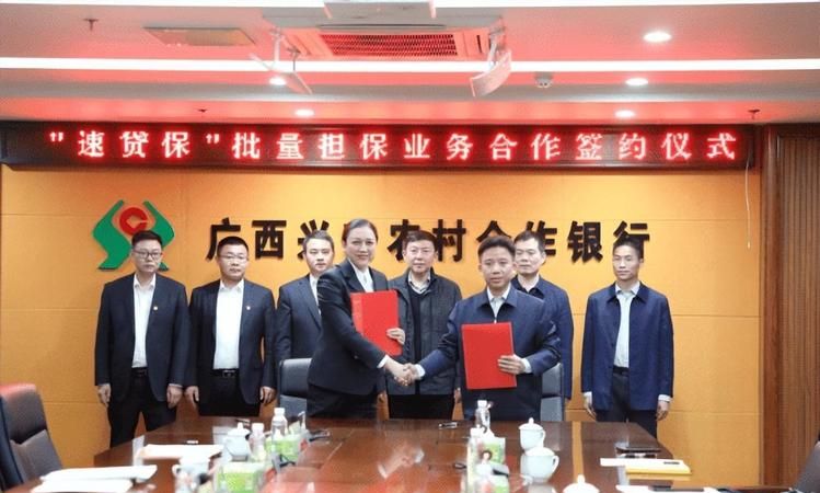 企业小微贷款担保公司，助力企业腾飞的幕后英雄