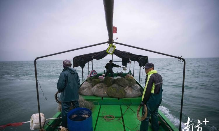 二手房中介眼中的惠州东江渔民渔船贷款