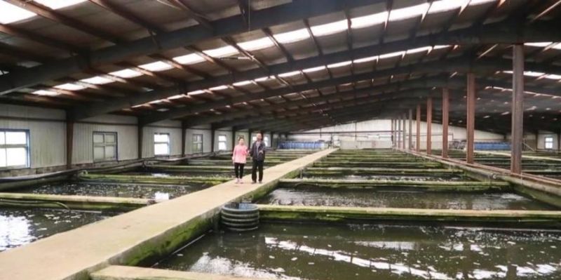 惠州养殖贷款利率下调，为养殖产业注入新活力