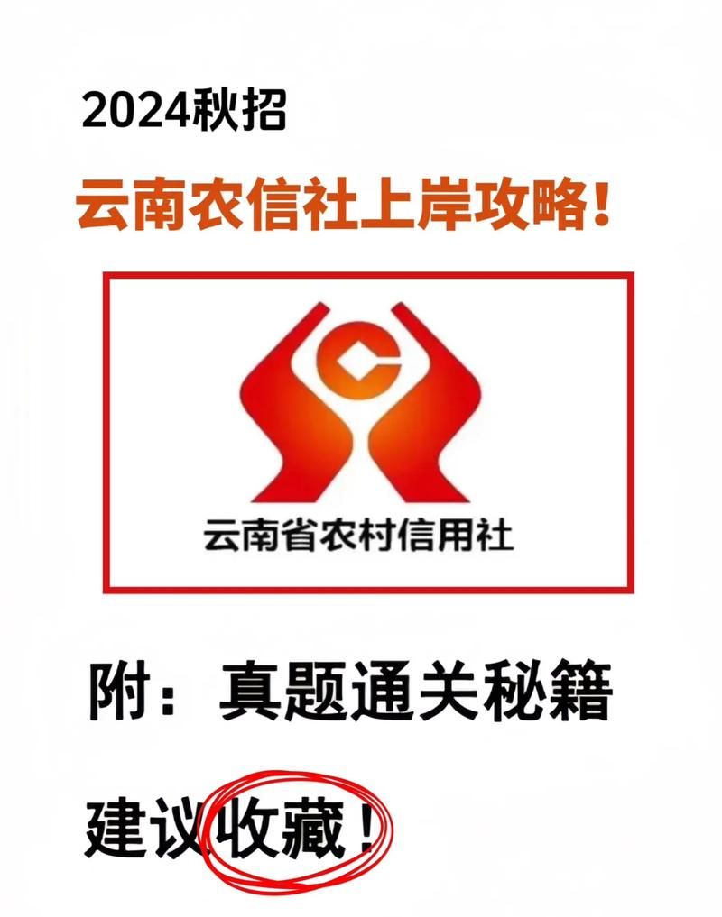云南省农村信用社小企业信用贷款，助力企业发展的金融利器