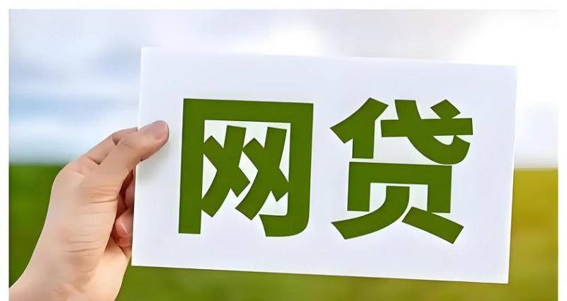 惠州市中介贷款业务的现状与发展