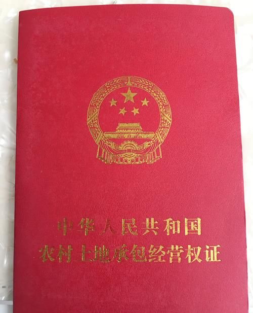 集体土地房产确权证可以抵押吗