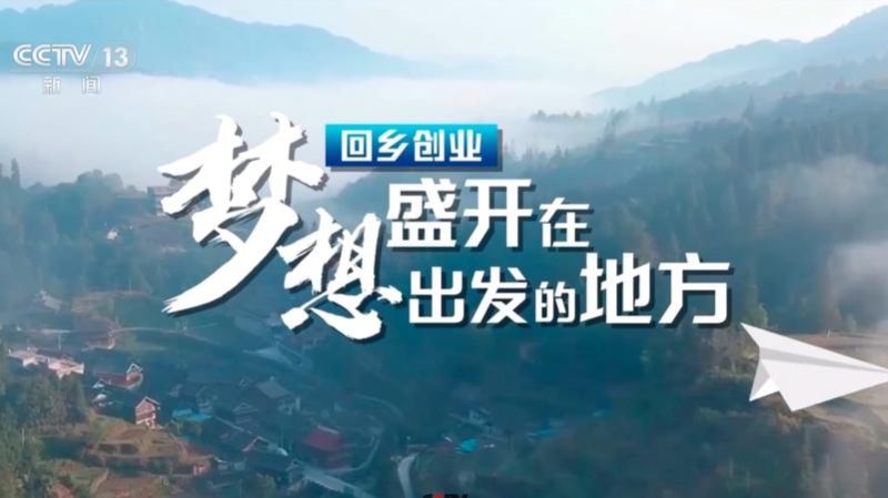 惠州市个人创业贷款，开启创业梦想之旅的有力支持