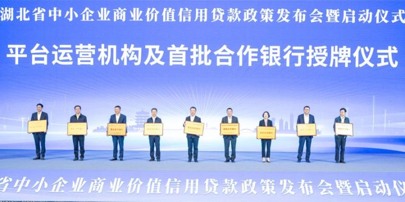 企业抵押担保与信用贷款，助力企业发展的双引擎