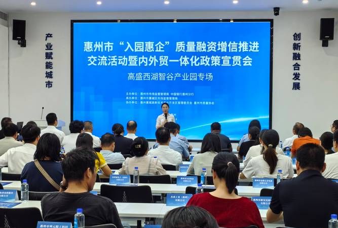 惠州惠城小额贷款公司，助力小微企业与个人发展的金融力量