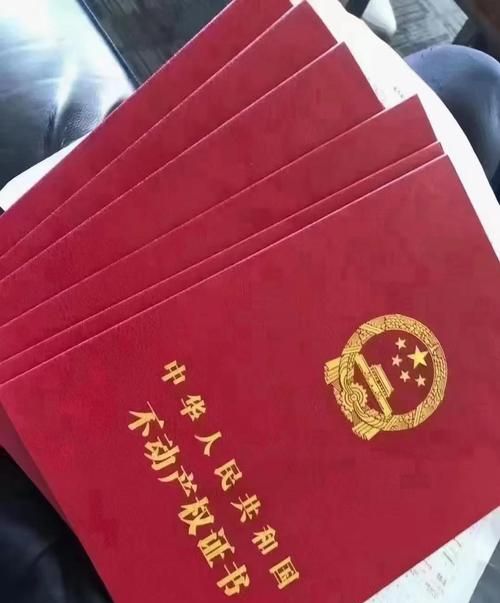 78岁老人名下房产抵押全解析