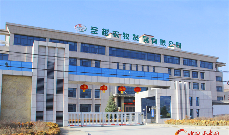 白羽肉鸡企业贷款，助力产业发展与金融合作的重要途径