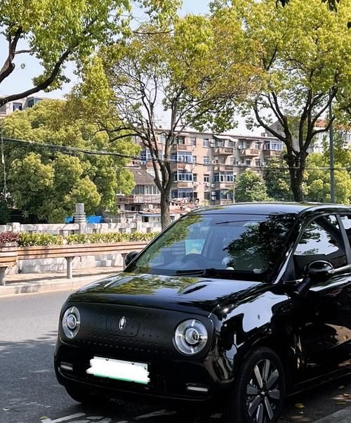 惠州欧拉黑猫贷款全攻略