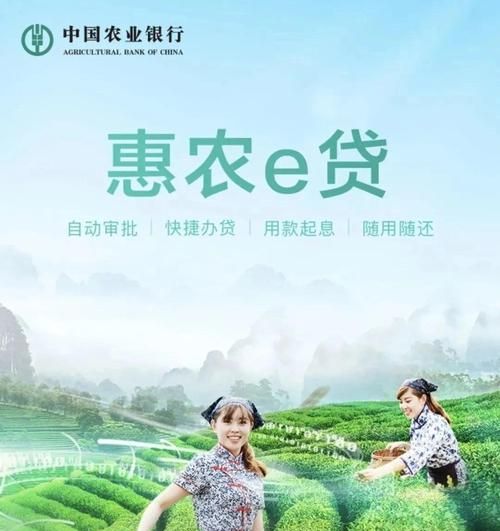 惠州涉农贷款,助力乡村振兴的金融力量