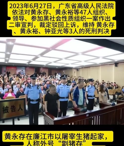 惊爆！老总竟抵押房产，背后真相令人深思