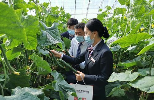 惠州龙门农民贷款那些事儿