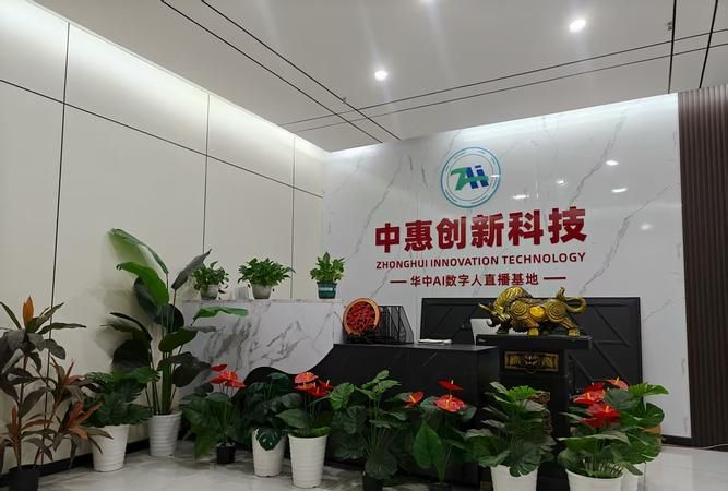 惠州仲恺 TCL 智融科技小额贷款有限公司,金融创新与行业发展