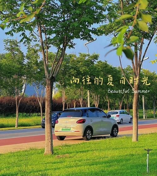 惠州新能源汽车 0 首付无息贷款——开启绿色出行新潮流