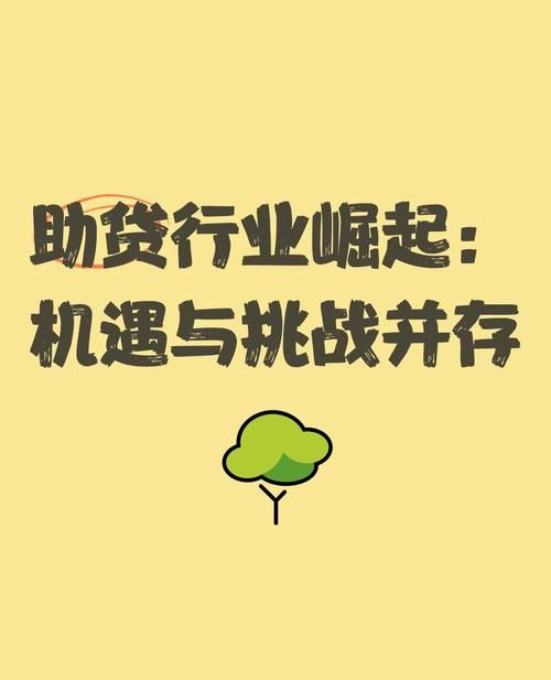 大型企业百亿贷款背后，机遇、挑战与金融力量
