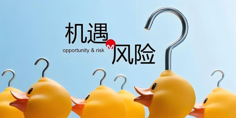 揭秘无极房产抵押，机遇与风险并存的金融之道